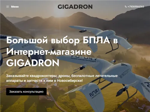 Gigadron.ru отзывы