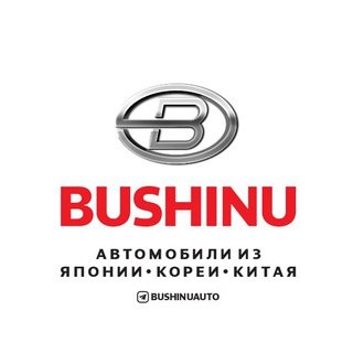 @BUSHINUAUTO