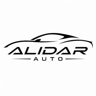 @auto_alidar