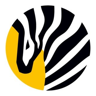 @zebrainsight